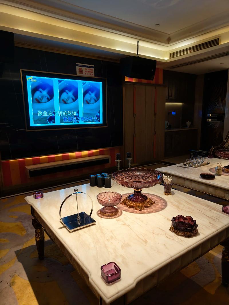 沧州商务ktv订房指南-肃宁县ktv预定